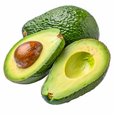 [ESF035] Avocat - SM