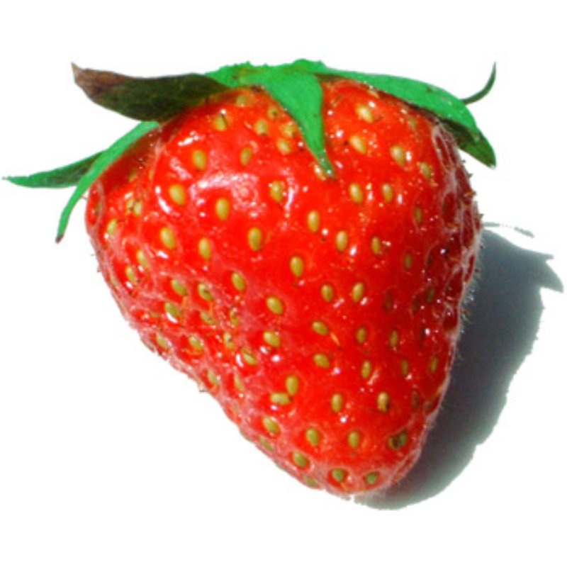 [ESF039] Fraise - SM