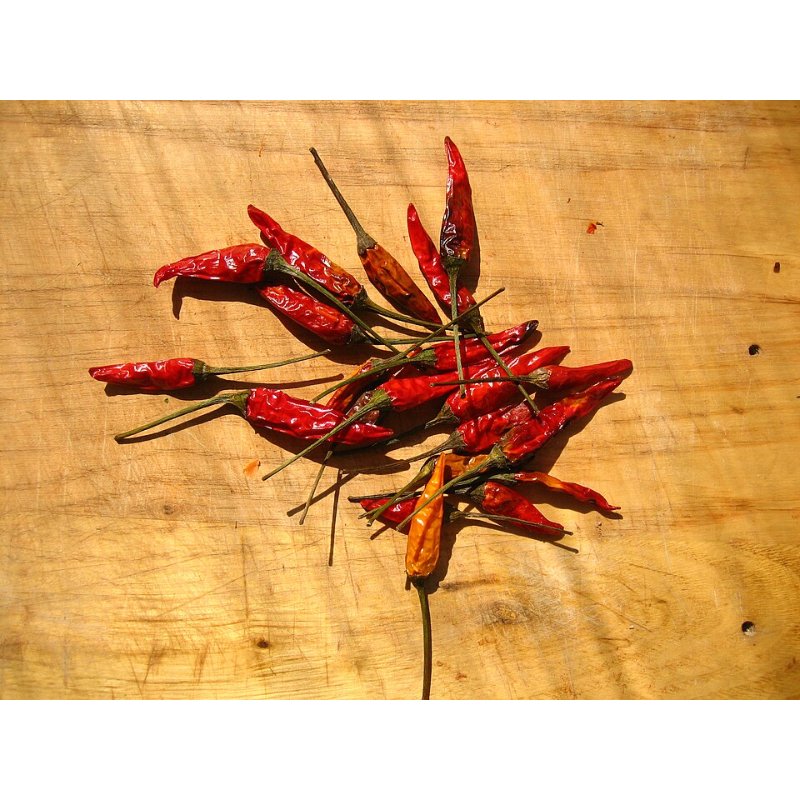 [ESF059] Piment fort - SM