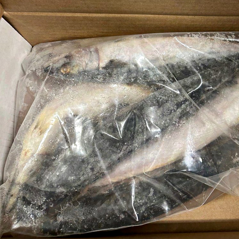[ESF167] Poisson Maquereaux Sauvages 6LB - BSX