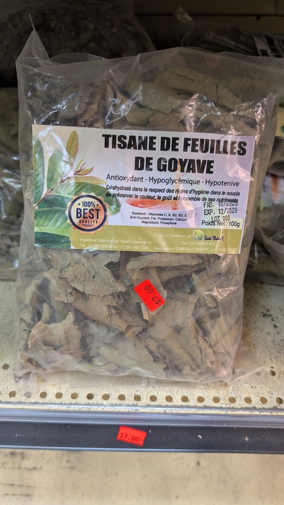 [ESF213] Feuille de goyave - (MF)