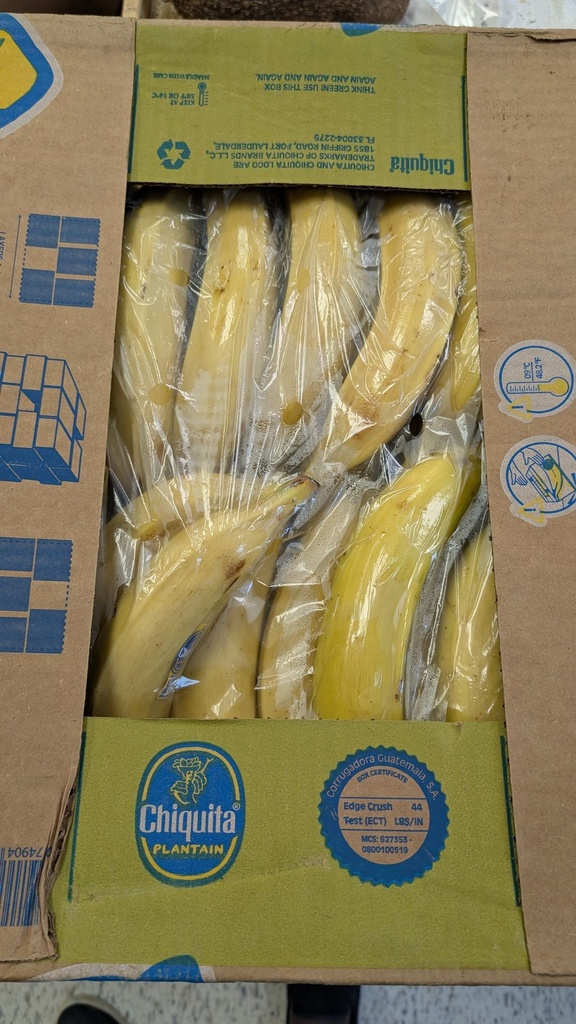 [ESF486] Plantain Jaune-Un Carton