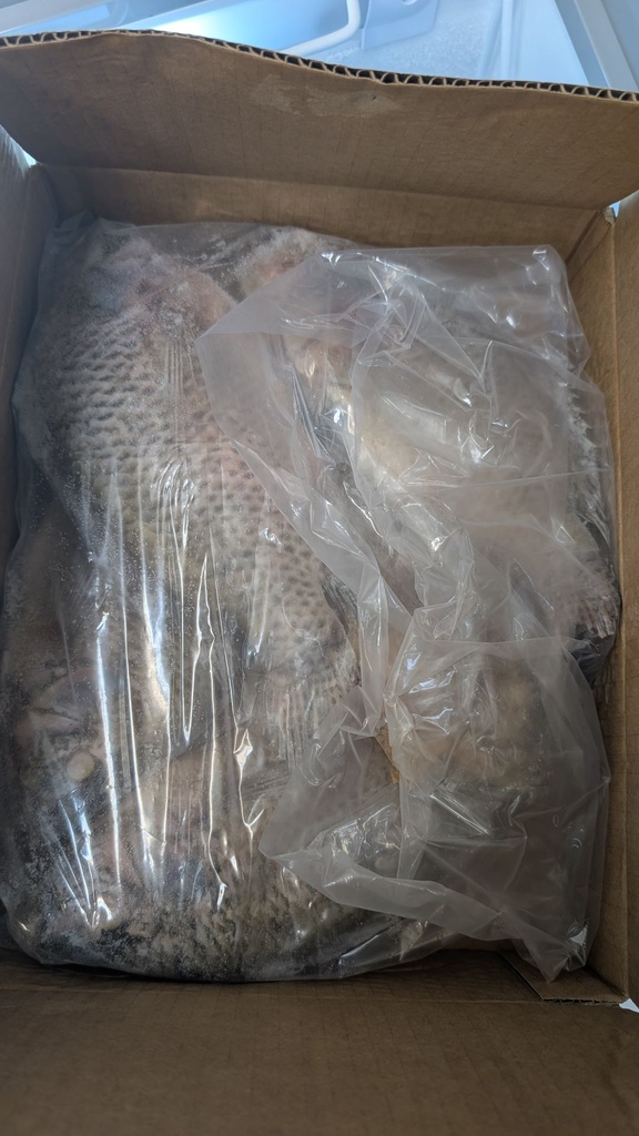 [ESF311] Poisson Tilapias 2.27KG