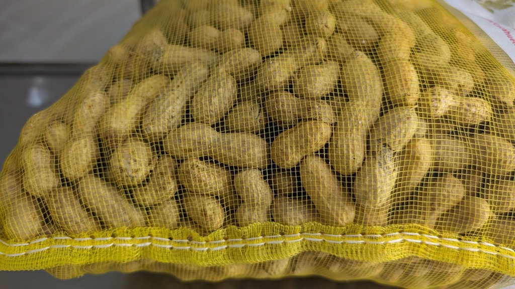 [ESF313] Arachides Frais 1kg