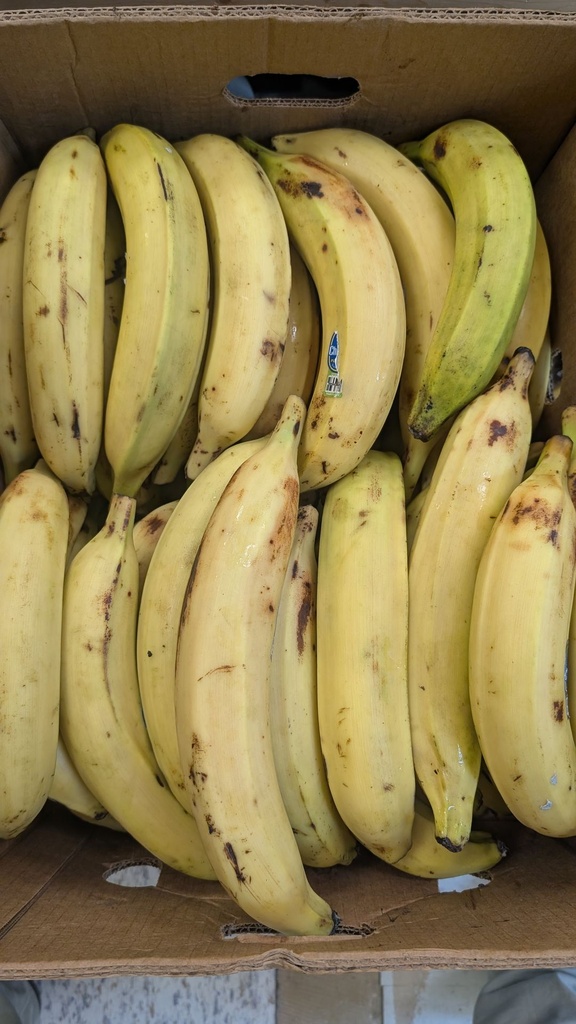 [ESF514] Plantain Jaune- 1/2 Carton