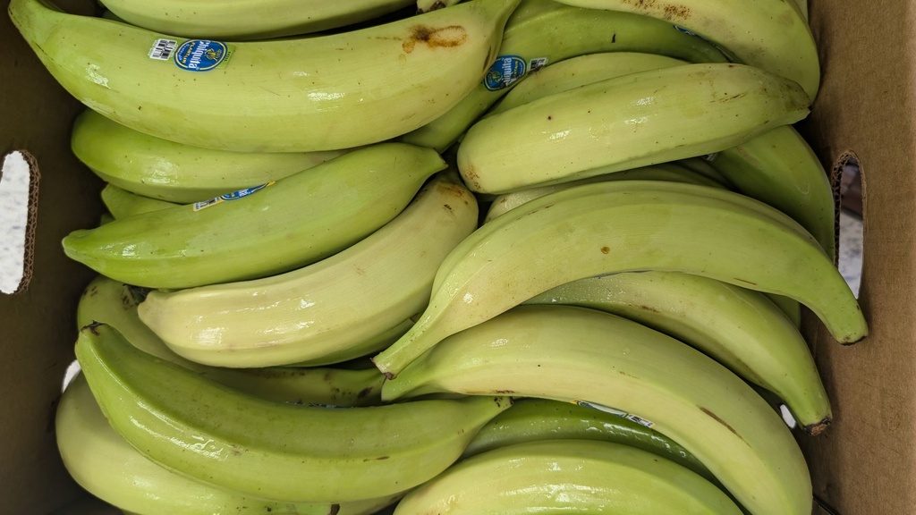 [ESF551] Plantain Vert 1/2 Carton