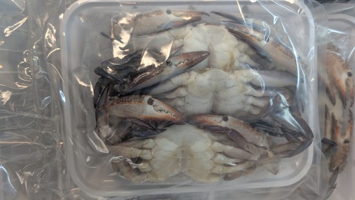 Crabe Naturel 454G